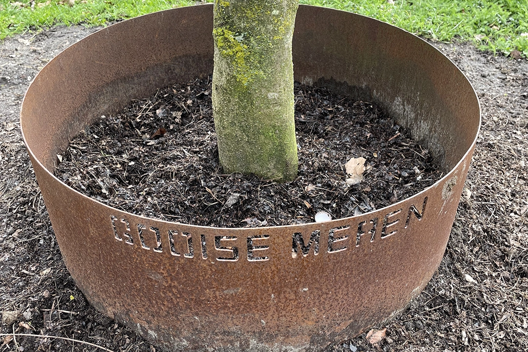 Geroeste cortenstaal boomring